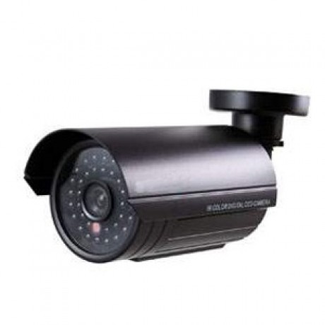 Camera SILICON RS-102EF Camera Outdoor